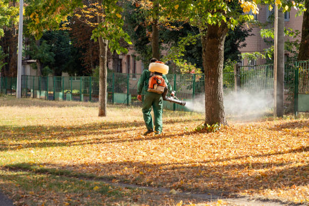 Best Affordable Pest Control Services  in Flora, IL